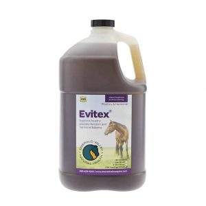 Evitex 1 Gallon